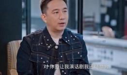 黄磊独家爆料视频大全集,揭秘娱乐圈背后的真实故事