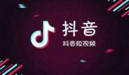 爆料抖音嘉年华视频下载,揭秘热门视频下载攻略