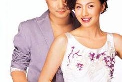 娱乐爆料陶虹夫妇离婚了,娱乐圈再掀波澜