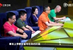 汪导爆料视频大全,视频大全背后的精彩故事