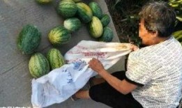 辽源吃瓜爆料视频最新一期,最新一期揭秘惊人内幕