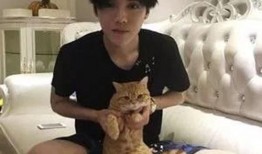 鹿晗跑车爆料视频大全,豪华座驾大盘点