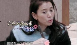 袁咏仪爆料丈夫视频,家庭生活曝光引热议