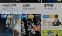 在线a视频在线观看,在线观看体验全解析