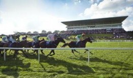 利默里克最新爆料,揭秘事件背后惊人真相