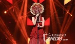 蒙面歌王爆料视频大全,揭秘明星歌手神秘面纱背后的故事