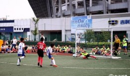 株洲今天爆料最新消息,揭秘今日重大事件内幕