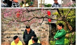 独家爆料平乐下村视频播放,平乐下村视频播放背后的故事