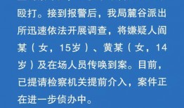 警方热点爆料新闻内容怎么写,最新案件追踪与揭秘
