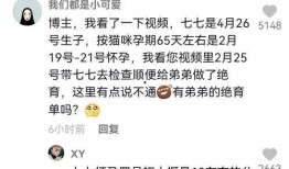 娱乐吃瓜君流量,揭秘流量背后的秘密与真相