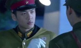 黑狐全集在线观看,揭秘特工风云，揭秘神秘组织背后的真相
