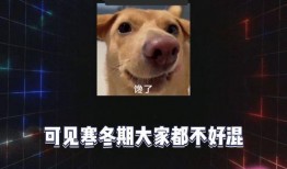 吃瓜网娱乐八卦,吃瓜网揭秘明星幕后故事