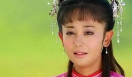 爆料台湾老格格视频播放,视频播放背后的传奇人生