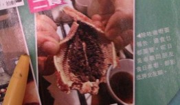 香港娱乐八卦爆料杂志,明星幕后故事大曝光！