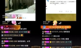 贵港最新爆料事件视频播放,视频揭露惊人真相，事件详情曝光！