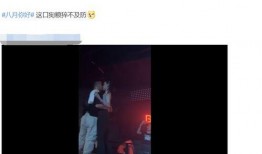 袁维娅爆料歌手视频播放,歌手神秘视频幕后真相曝光