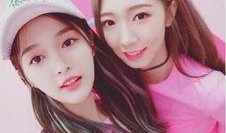 网红少女总裁吃瓜,揭秘娱乐圈幕后风云