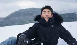 王海鸥爆料视频大全最新,揭秘娱乐圈不为人知的一面