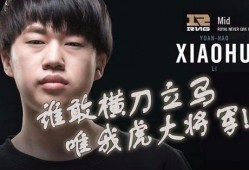 豪哥小虎爆料视频大全,视频大全精彩瞬间回顾