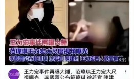 王力宏摄影师爆料视频,揭秘音乐巨星不为人知的一面