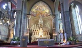 利默里克最新爆料,揭秘事件背后惊人真相