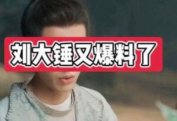 爆料娱乐圈的博主大锤,大锤博主独家爆料，内幕重重引关注