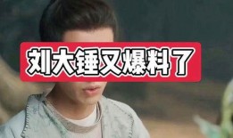 爆料娱乐圈的博主大锤,大锤博主独家爆料，内幕重重引关注
